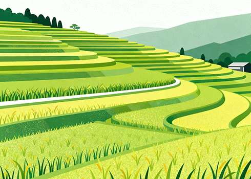 在 iOS 设备上注册美区 Apple ID